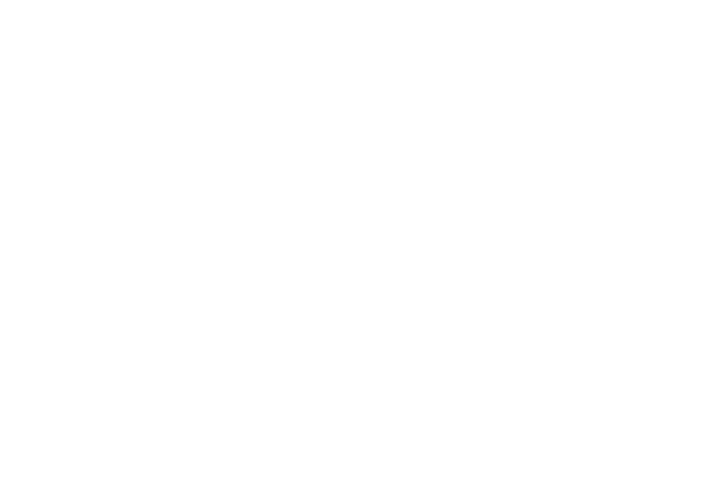 Leadsyde